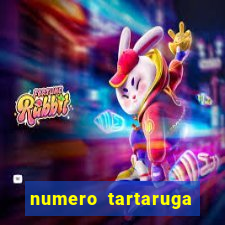 numero tartaruga jogo do bicho